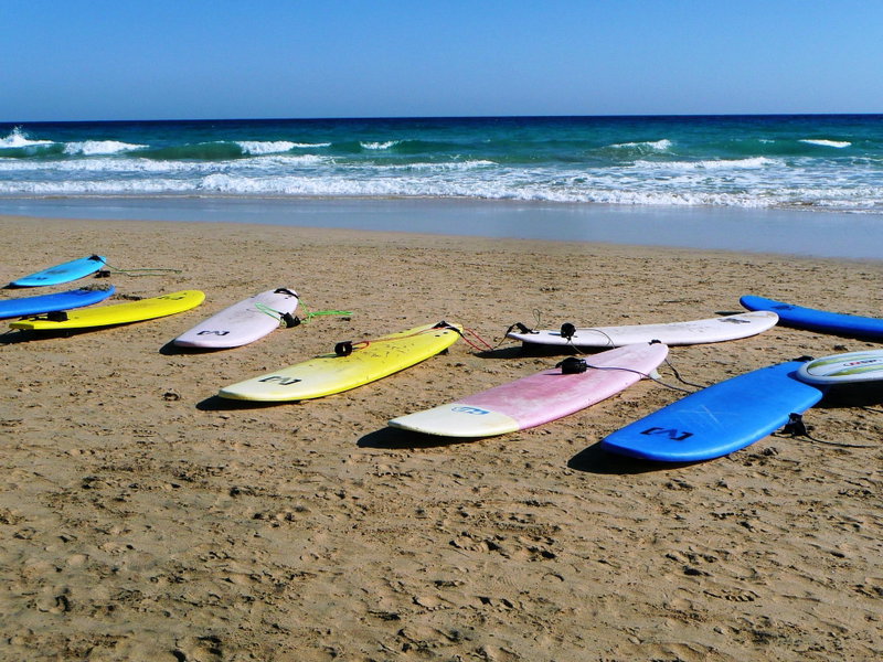 Free board hire