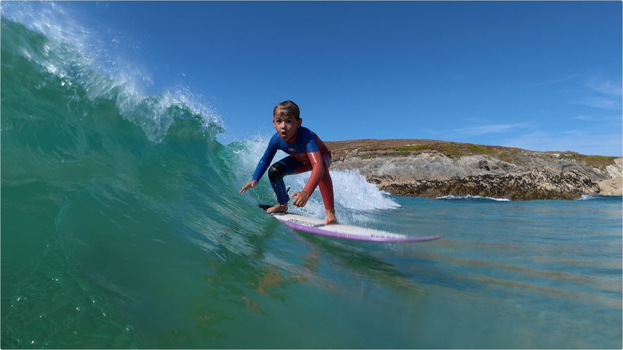 Cubs surfing